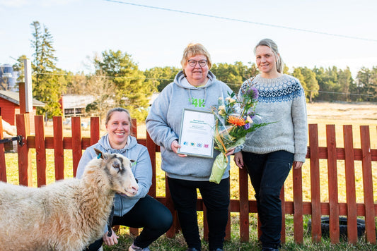 Ålands 4H-distrikt får Åland Posts julmärkesmedel 2024