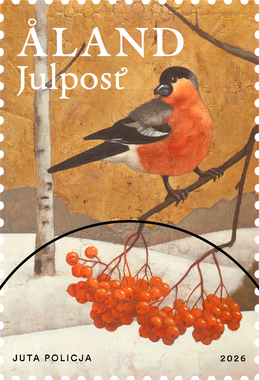 Winter dreams, bullfinch – cancelled