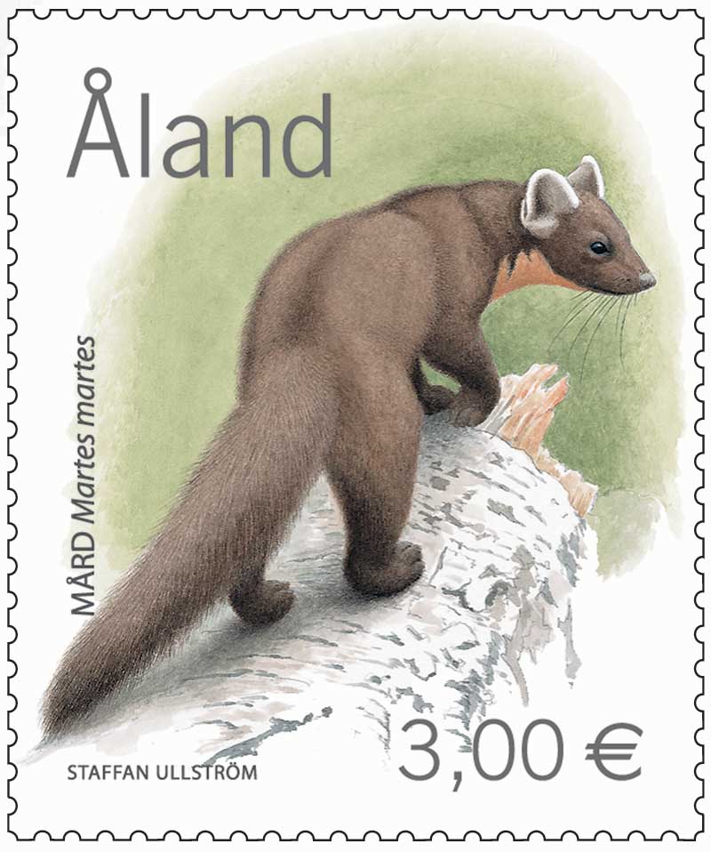 Näätä -postituore