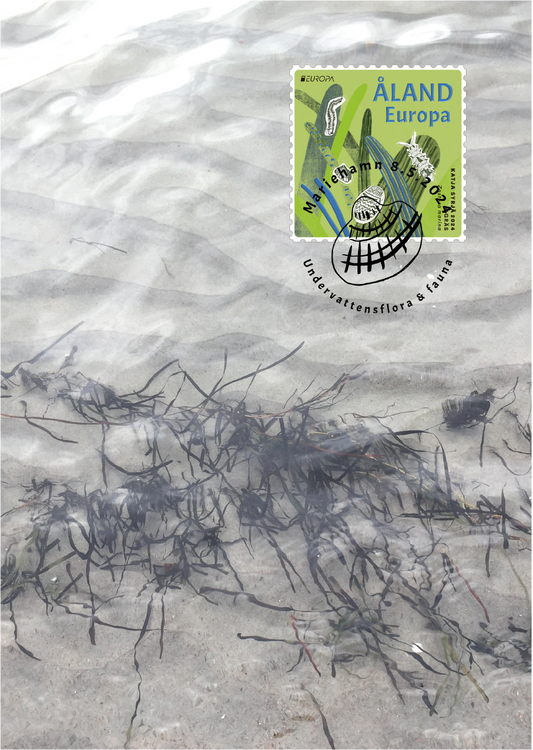 No. 146, underwater flora and fauna