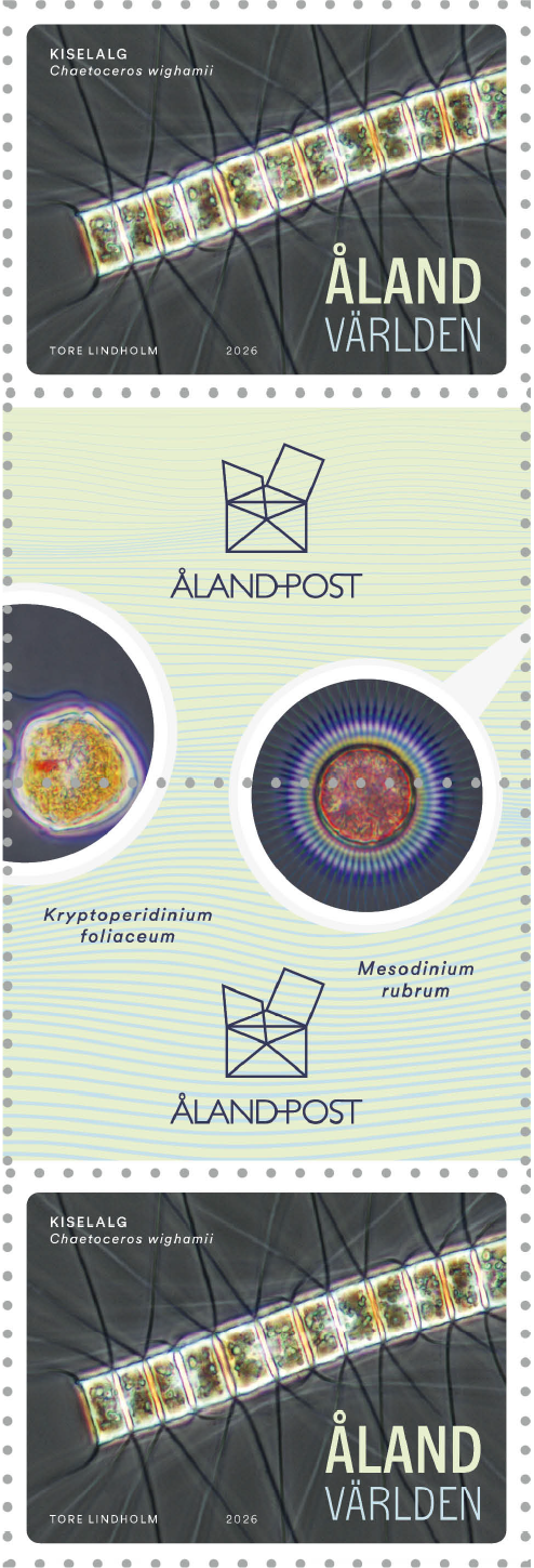Microalgae – cancelled