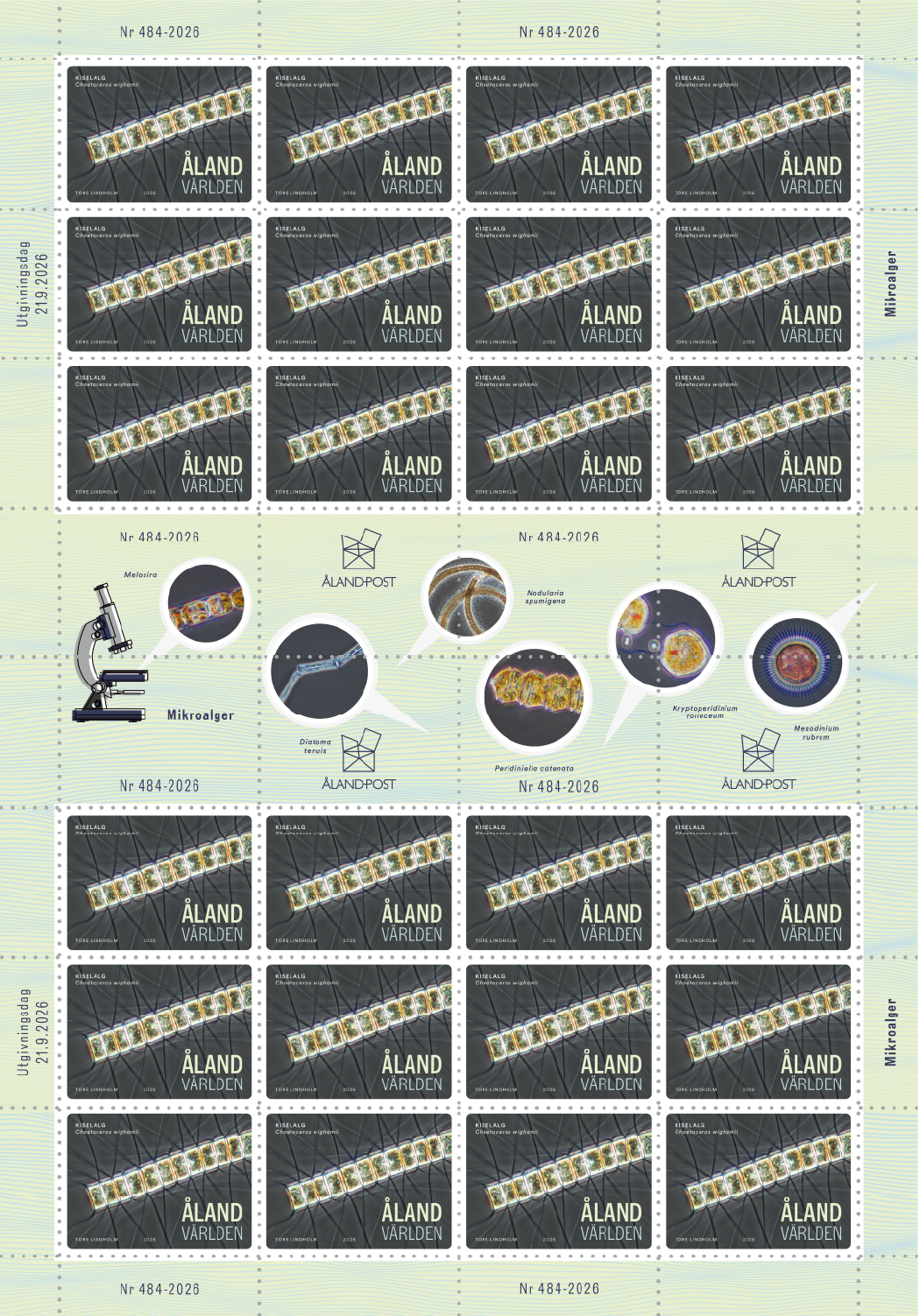 Microalgae – cancelled