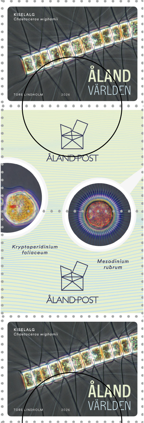 Microalgae – cancelled