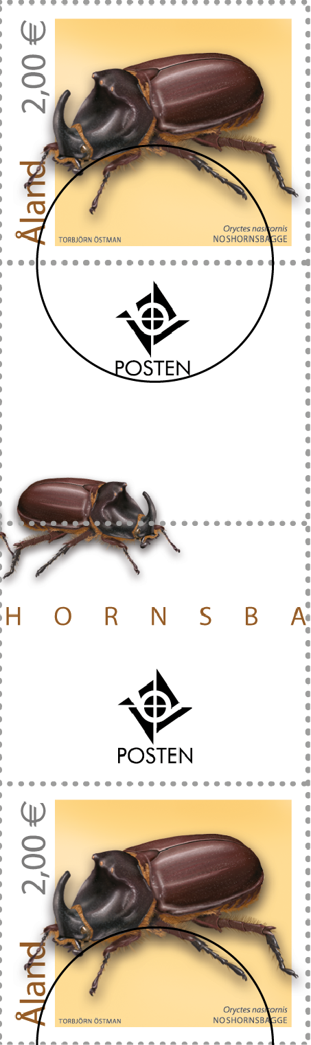 Rhinoceros beetle -cancelled