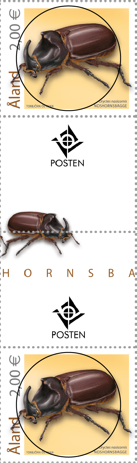 Rhinoceros beetle -cancelled