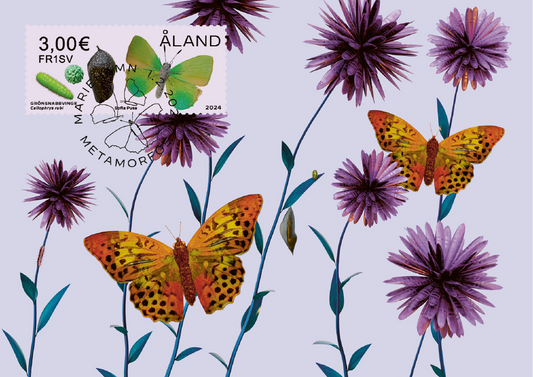 No. 145, Metamorphosis