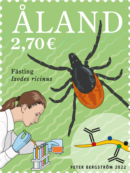 Punkkitutkimus -postituore