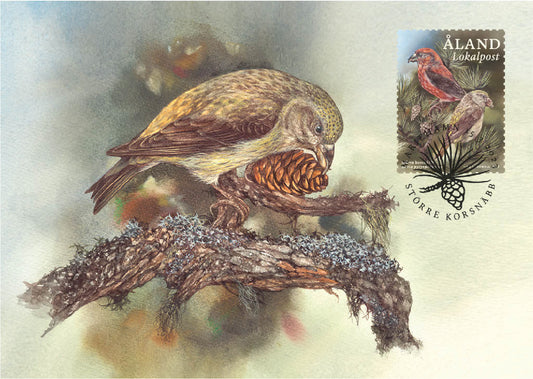 No. 142 Parrot crossbill